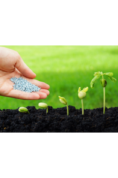 Стимулятор розвитку кореневої системи